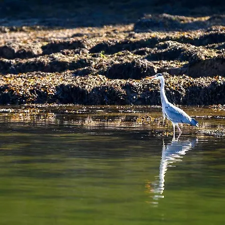 Floating * 金塞尔